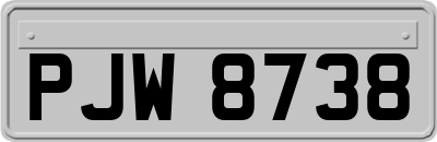PJW8738