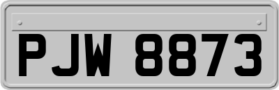 PJW8873
