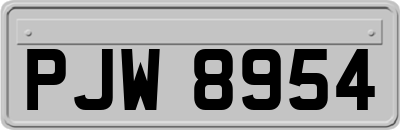 PJW8954