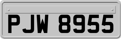PJW8955