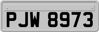PJW8973