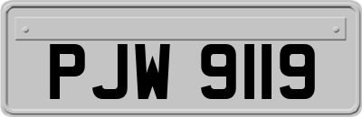 PJW9119