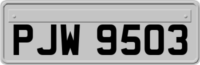 PJW9503