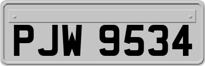 PJW9534