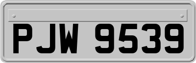PJW9539