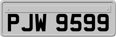 PJW9599