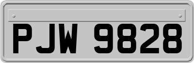 PJW9828