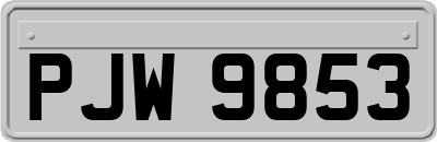 PJW9853