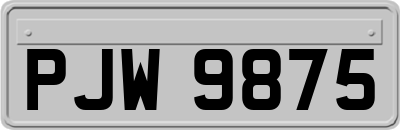 PJW9875
