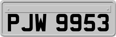 PJW9953