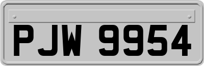 PJW9954