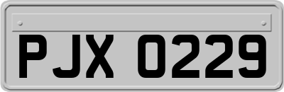 PJX0229