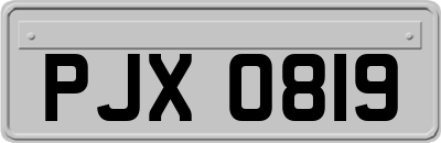 PJX0819