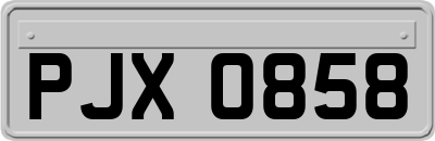 PJX0858