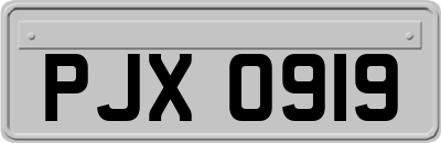 PJX0919