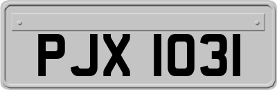 PJX1031