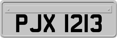 PJX1213