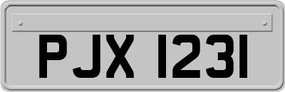 PJX1231