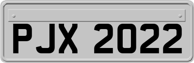 PJX2022