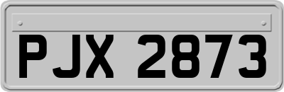 PJX2873