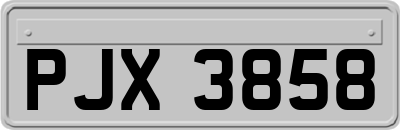 PJX3858