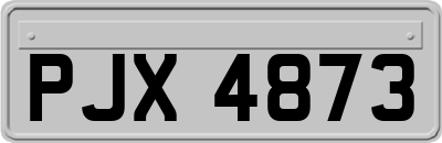 PJX4873