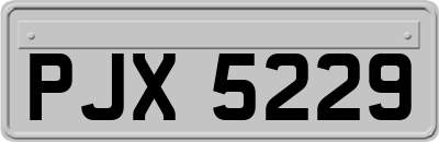 PJX5229