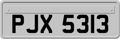 PJX5313