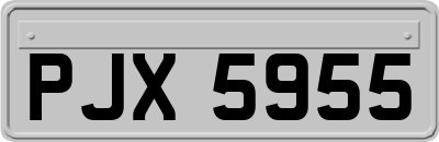 PJX5955