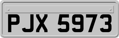 PJX5973