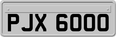 PJX6000