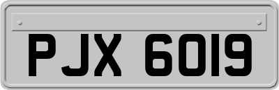 PJX6019