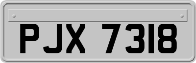 PJX7318