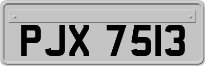 PJX7513