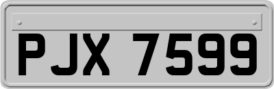 PJX7599