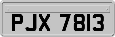 PJX7813
