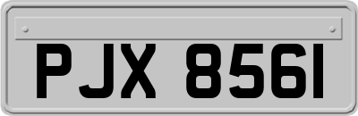PJX8561