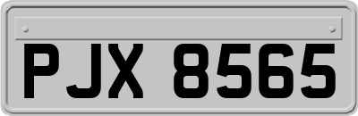 PJX8565