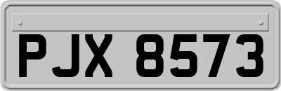 PJX8573