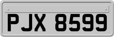 PJX8599