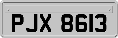 PJX8613