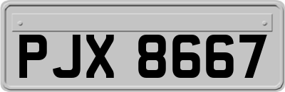 PJX8667