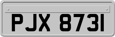 PJX8731