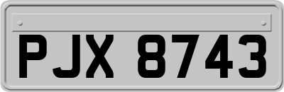 PJX8743