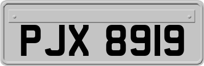 PJX8919