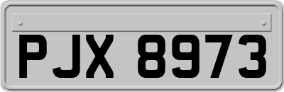 PJX8973