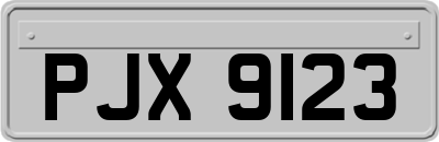 PJX9123
