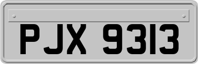 PJX9313