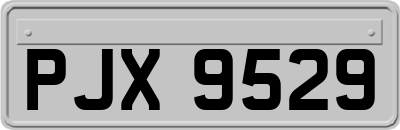 PJX9529