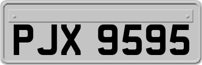 PJX9595